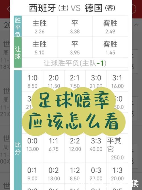 世界杯投注攻略：新手必看的指南